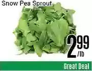 Nations Fresh Foods Snow Pea Sprout offer