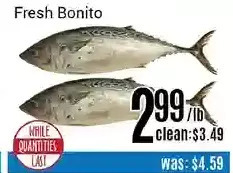 Nations Fresh Foods Fresh Bonito offer
