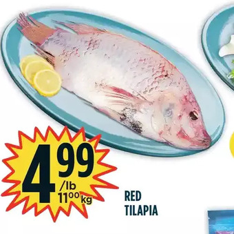 Marché Adonis Red Tilapia offer