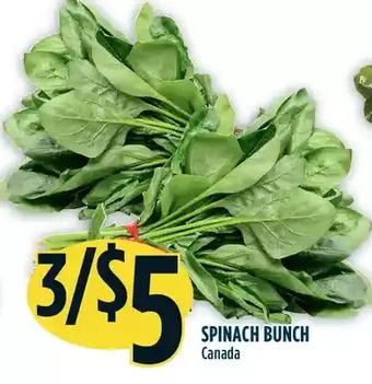 Marché Adonis Spinach Bunch offer
