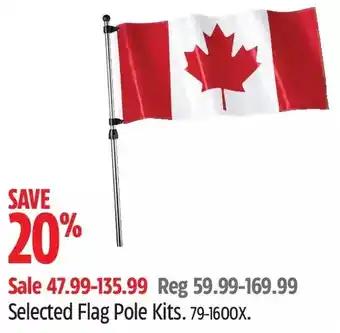 Canadian Tire Flat Pole Kits offer