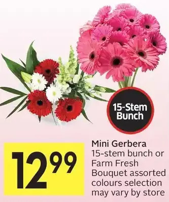 Foodland Mini Gerbera or Farm Fresh Bouquet offer