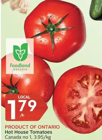 Foodland Hot House Tomatoes offer