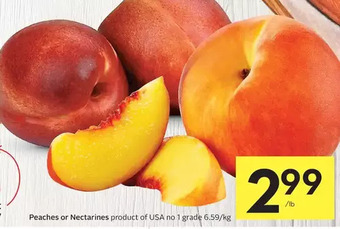 Foodland Peaches or Nectarines offer