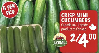 Farm Boy Crisp Mini Cucumbers offer