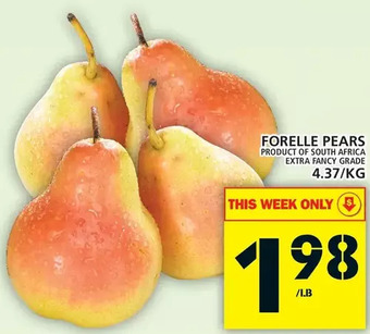 Food Basics Forelle Pears offer