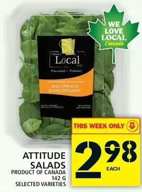Food Basics Attitude Salads offer