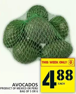 Food Basics Avocados offer
