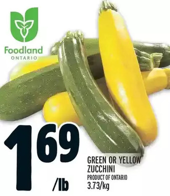Metro Green or Yellow Zucchini offer