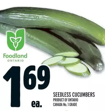 Metro Seedless Cucumbers offer