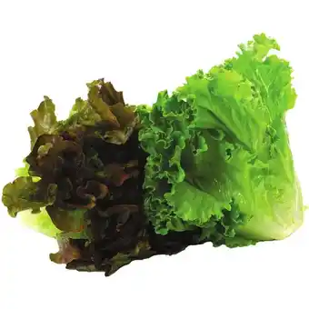 Sobeys Lettuce Romaine, Red Leaf or Green Leaf offer
