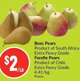 FreshCo Bosc Pears | Forelle Pears offer