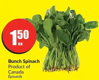 FreshCo Bunch Spinach offer
