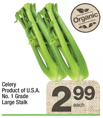 Celery