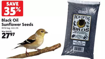 Home Hardware Black Oil Sunflower Seeds offer