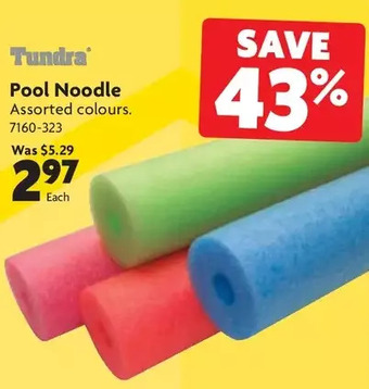 Home Hardware Pool Noodle offer