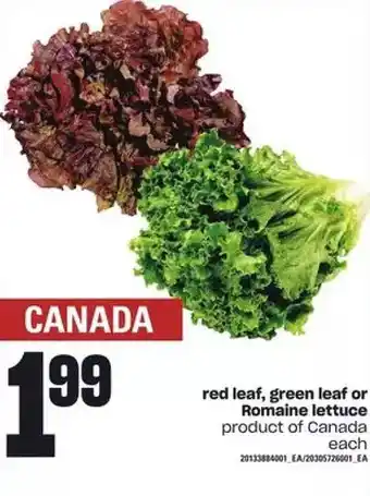 Zehrs Markets Red Leaf, Green Leaf or Romaine Lettuce offer