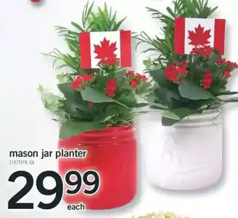 Fortinos Mason Jar Planter offer