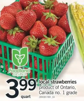 Fortinos Local Strawberries offer