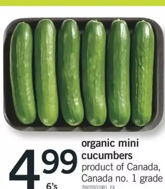 Fortinos Organic Mini Cucumbers offer
