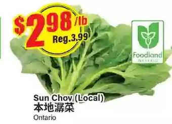 Btrust Supermarket Sun Choy offer