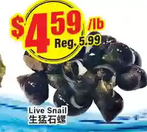 Btrust Supermarket Live Snail offer