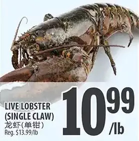 Al Premium Food Mart Live Lobster offer