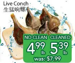 Ample Food Market Live Conch offer