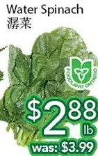 Ample Food Market Water Spinach offer