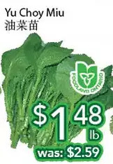 Ample Food Market Yu Choy Miu offer