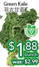 Ample Food Market Green Kale offer