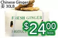 Ample Food Market Chinese Ginger offer