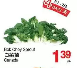 T&T Supermarket Bok Choy Sprout offer