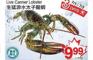 T&T Supermarket Live Canner Lobster offer