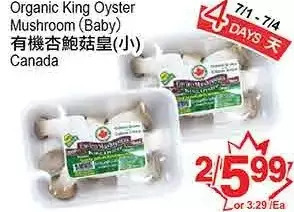 T&T Supermarket Organic King Oyster Mushroom offer