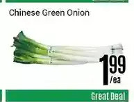 Nations Fresh Foods Chinese Green Onion offer