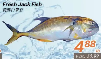 Seasons Foodmart Fresh Jack Fish offer