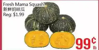 Hong Tai Supermarket Fresh Mama Squash offer