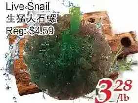 Tone Tai Supermarket Live Snail offer
