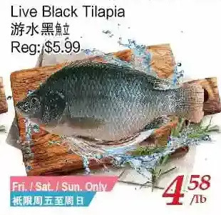 Tone Tai Supermarket Live Black Tilapia offer