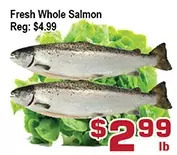 Top Food Supermarket Fresh Whole Salmon offer