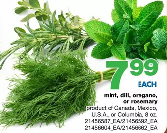 Wholesale Club Mint, Dill, Oregano or Rosemary offer