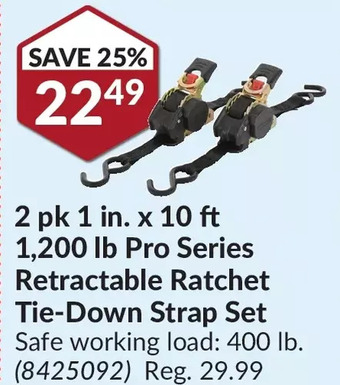 Princess Auto 2 pk 1 in. x 10 ft 1,200 lb Pro Series Retractable Ratchet Tie-Down Strap Set offer