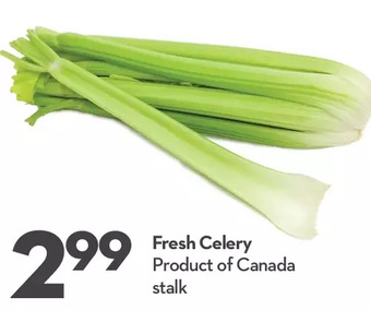 Longo's Fresh Celery offer