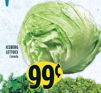 Marché Adonis Iceberg Lettuce offer
