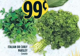 Marché Adonis Italian or Curly Parsley offer