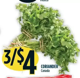 Marché Adonis Coriander offer