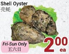Oceans Fresh Food Market Shell Oyster offer