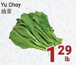 Oceans Fresh Food Market Yu Choy offer