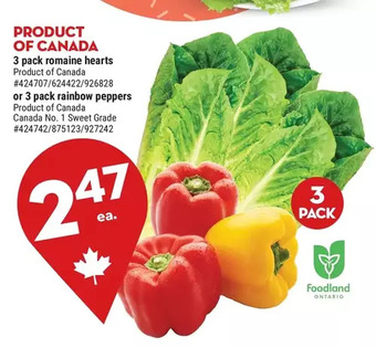 Giant Tiger 3 Pack Romaine Hearts offer